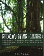 阳光的首都  海南岛自助游深度攻略