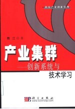 产业集群  创新系统与技术学习