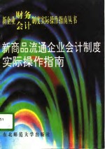 新商品流通企业会计制度实际操作指南