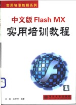 中文版Flash MX实用培训教程