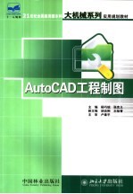 AutoCAD工程制图