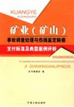 矿业  矿山  事故调查处理与伤残鉴定赔偿支付标准及典型案例评析  第1卷