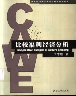 比较福利经济分析  福利经济的实践是一种发展的创新