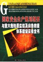 国家安全生产规划纲要与重大危险源监控及应急救援体系建设实务全书  第4卷