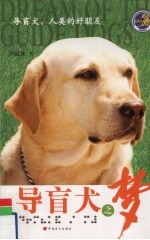 导盲犬之梦