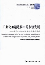 工业化加速进程中的乡镇发展  基于山东省惠民县孙武镇的调研