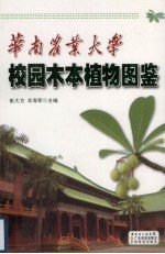 华南农业大学校园木本植物图鉴