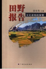 田野报告-文化诸相的探索  广西民族大学民族学专业2004届硕士生学位论文汇编