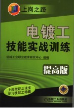 电镀工技能实战训练  提高版