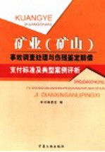 矿业  矿山  事故调查处理与伤残鉴定赔偿支付标准及典型案例评析  第4卷