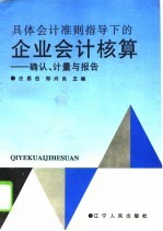 具体会计准则指导下的企业会计核算  确认、计量与报告