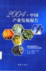 2004·中国产业发展报告