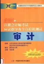 2004年注册会计师考试应试指导及全真模拟测试  审计