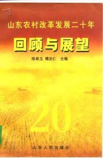 山东农村改革发展二十年回顾与展望