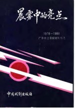 晨雾中的亮点  1978年-1988年广东省业余获奖剧作选