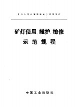 矿灯使用、维护、检修示范规程