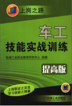 车工技能实战训练  提高版