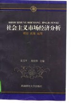 社会主义市场经济分析  理论  政策  运用