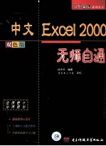 中文EXCEL 2000无师自通