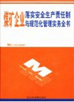 煤矿企业落实生产责任制与规范化管理实务全书  第4卷