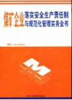 煤矿企业落实生产责任制与规范化管理实务全书  第3卷