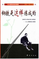 钢铁是这样炼成的 同时代人回忆中的人和作家-H.A.奥斯特洛夫斯基