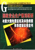 国家安全生产规划纲要与重大危险源监控及应急救援体系建设实务全书  第3卷