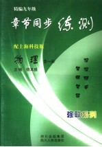 精编九年级章节同步练测  物理   上海科技版