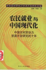 农民就业与中国现代化  中国农村劳动力资源开发研究的十年