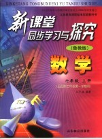 新课堂同步学习与探究  数学  七年级  上