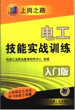 电工技能实战训练  入门版