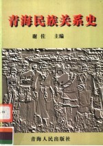 青海民族关系史