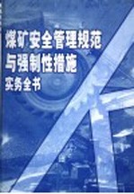 煤矿安全管理规范与强制性措施实务全书  第2册