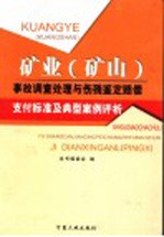 矿业  矿山  事故调查处理与伤残鉴定赔偿支付标准及典型案例评析  第2卷