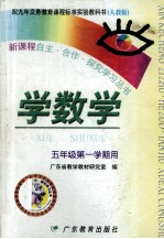 新课程自主·合作·探究学习丛书  配九年义务教育课程标准实验教科书：人教版  学数学