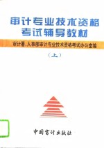 审计专业技术资格考试辅导教材  上  与审计专业相关的综合知识