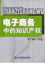 电子商务中的知识产权