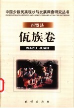 中国少数民族现状与发展调查研究丛书  西盟县佤族卷