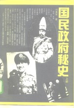 国民政府秘史  上