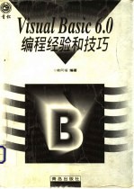 Visual Basic 6.0编程经验和技巧