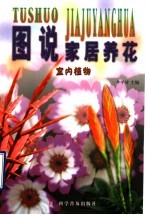 图说家居养花室内植物