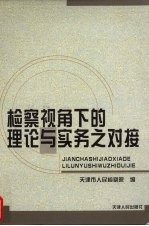 检察视角下的理论与实务之对接