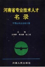 河南省专业技术人才名录  平顶山市企业政工卷