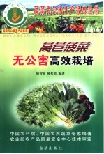 莴苣菠菜无公害高效栽培