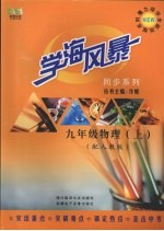 学海风暴  同步系列  九年级物理（上册）（配人教版）