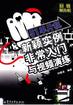 51单片机新颖实例非常入门与视频演练