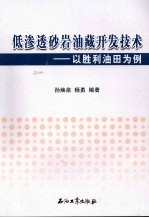 低渗透砂岩油藏开发技术：以胜利油田为例