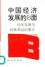 中国经济发展的Ｂ面 经济发展与民族利益的整合