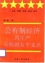 公有制经济再生产分析的五个支点  主体、积累、实现、市场、货币