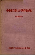 中国当代文学作品选（讲授提要）